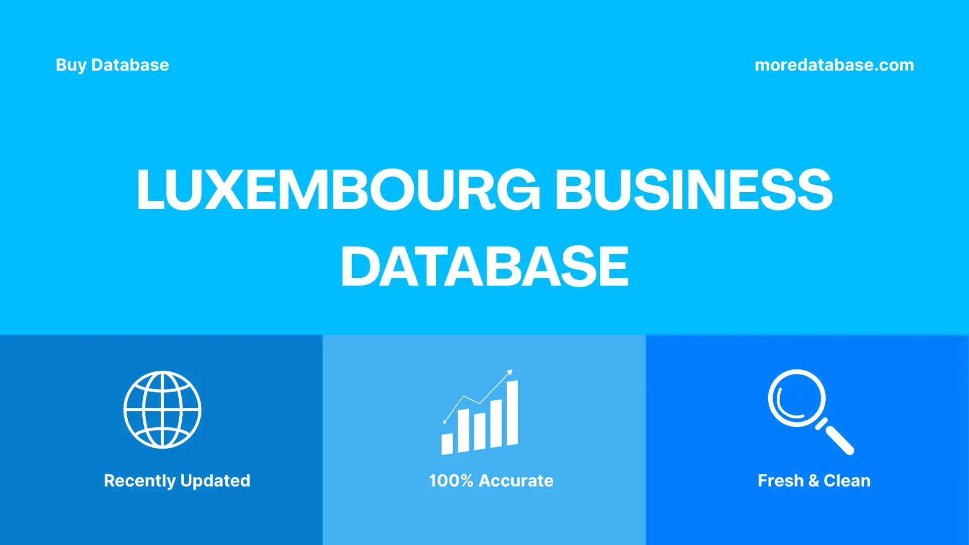 Luxembourg Business Database